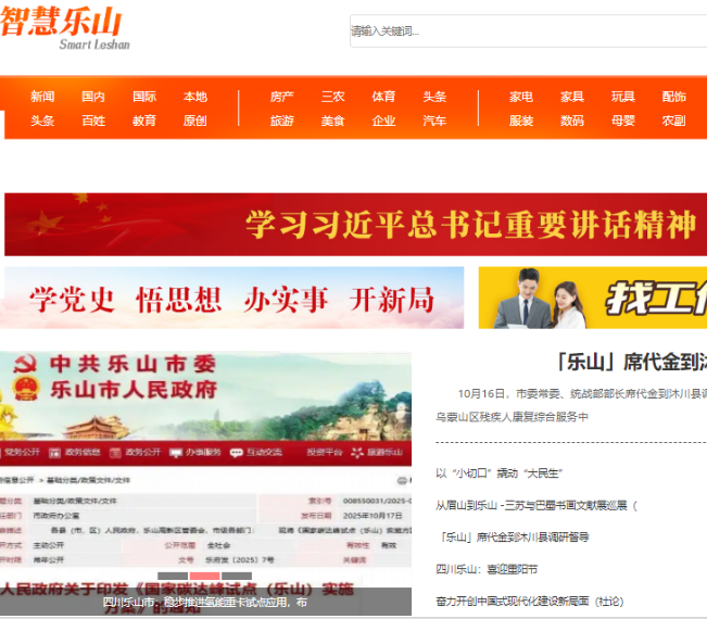 智慧乐山网站推广